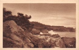 83-TOULON-N°T1176-C/0275 - Toulon