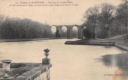 28-MAINTENON LE CHATEAU-N°T1177-B/0123 - Autres & Non Classés