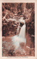 25-SAUT DU DOUBS-N°T1176-H/0349 - Altri & Non Classificati