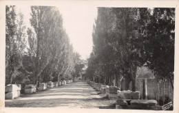 13-ARLES-N°T1176-H/0163 - Arles