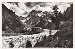 74-CHAMONIX-N°T1177-G/0295 - Chamonix-Mont-Blanc