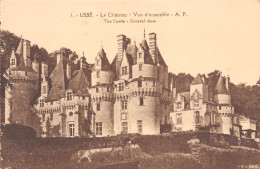 37-USSE LE CHATEAU-N°T1177-F/0055 - Andere & Zonder Classificatie