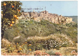 Tourettes Sur Loup - Vue Générale - 1962 # 2-8/17 - Other & Unclassified