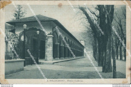 Bs17 Cartolina S.pellegrino Portici Colleoni Provincia Di Bergamo Lombardia - Bergamo