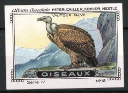 Reklamemarke Chocolats Peter, Cailler, Kohler & Nestlé, Serie LX, No. 12, Oiseaux, Vautour Fauve  - Cinderellas
