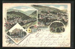 Lithographie Sonneberg, Schlossberg, Kaltwasser Heilanstalt, Luther-Häuschen  - Sonneberg