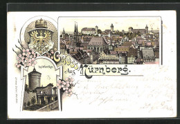 Lithographie Nürnberg, Spittlerthor, Panorama Der Stadt  - Nuernberg