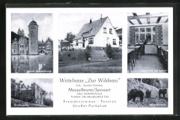 AK Mespelbrunn /Spessart, Gasthaus Zur Wildsau, Schloss  - Otros & Sin Clasificación
