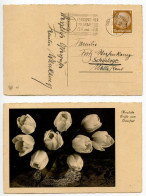 Germany 1939 Postcard - Osterfest / Easter Greetings & Tulips; Osnabrück Slogan Cancel; 3pf. Hindenburg Stamp - Easter