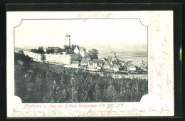 AK Neuhaus / Pegnitz, Ortsansicht Mit Schloss Veldenstein  - Pegnitz