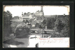 AK Neuhaus A. D. P., Partie An Der Pegnitz Mit Burg Veldenstein  - Pegnitz