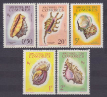 1962 Comoro Islands 42-46 Marine Fauna - Sea Shells 19,00 € - Meereswelt