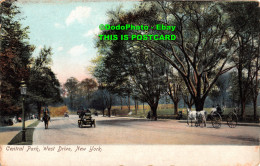R346455 New York. Central Park. West Drive. Illustrated Postal Card Co - World