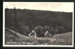 AK Schübelsmühle /Steinachtal, Ortspartie Mit Waldstück  - Autres & Non Classés