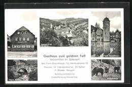 AK Hessenthal Im Spessart, Gasthaus Zum Gold`nen Fass, Elsava-Brücke, Schloss Mespelbrunn, Wildscheine  - Autres & Non Classés