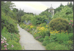 Ireland, Ilnacullen, Co. Cork, Herbaceous, Unused - Cork