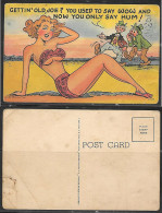 Humor, Bikini, Girl, Two Guys Talking Postcard - Humor
