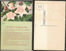 Legend Of The Christmas Rose Christian Postcard - Other & Unclassified