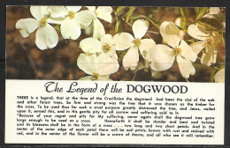 Christian Postcard, Legend Of The Dogwood, Unused - Autres & Non Classés