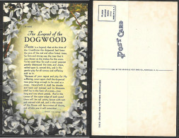 Legend Of The Dogwood Christian Postcard - Altri & Non Classificati