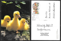 Germany, Easter Chickens, 200th Anniversary Cancel. - Pasen