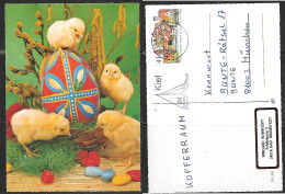 Germany, Easter Chickens And Eggs, Mailed Kiel. - Pâques