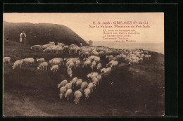 CPA Gris-Nez, Sur La Falaise, Moutons De Prè-Salè  - Other & Unclassified