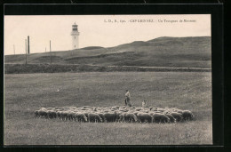 CPA Cap Gris-Nez, Un Troupeau Moutons  - Autres & Non Classés