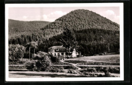 AK Breitenstein, Blick Zum Forsthaus  - Jagd