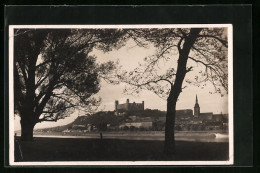 AK Pressburg, Blick Aus Der Au Auf Schloss Und Dom  - Slowakei