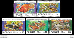 1301  Fishes - Russia 1998 - MNH - 1,75 - Pesci