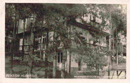 73976188 Bad_Hammer_am_See_Hamr_na_Jezere_CZ Pension Hubertus - Tschechische Republik