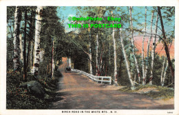R346649 N. H. Birch Road In The White MTS. American Art Post Card Co. C. T. Amer - World