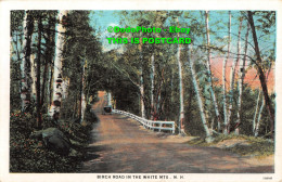 R346650 N. H. Birch Road In The White MTS. American Art Post Card Co. C. T. Amer - World