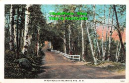 R346651 N. H. Birch Road In The White MTS. American Art Post Card Co. C. T. Amer - World