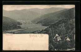 AK Freiburg I. Br., Blick Ins Günthersthal  - Freiburg I. Br.