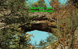 R346789 Kentucky. Natural Arch In Cumberland National Forest. Curteichcolor. Sce - World