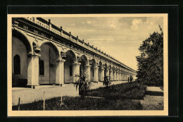 AK Kromeriz, Kvetna Zahrada  - Czech Republic