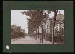 Fotografie Brück & Sohn Meissen, Ansicht Mügeln Bez. Leipzig, Lindenstrasse Mit Wohnvillen  - Lieux