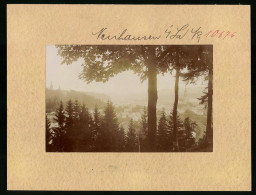 Fotografie Brück & Sohn Meissen, Ansicht Neuhausen I. Sa., Blick Vom Wald Auf Den Ort  - Orte