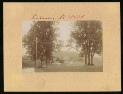 Fotografie Brück & Sohn Meissen, Ansicht Neuhausen I. Sa., Blick Auf Den Ort Mit Kurfürstenlinde  - Orte