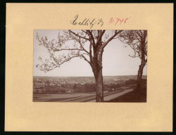 Fotografie Brück & Sohn Meissen, Ansicht Rochlitz I. Sa., Blick Vom Berg Auf Die Stadt, Panorama  - Orte