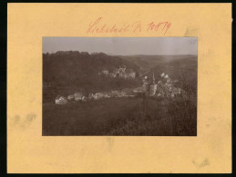 Fotografie Brück & Sohn Meissen, Ansicht Liebstadt I. Sa., Ortspanorama Mit Dem Schloss  - Places