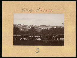 Fotografie Brück & Sohn Meissen, Ansicht Colditz, Panoramaansicht Mit Fabrik Schlot  - Orte