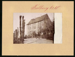 Fotografie Brück & Sohn Meissen, Ansicht Frohburg, Partie Am Schloss Mit Toten Bäumen  - Places