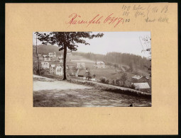 Fotografie Brück & Sohn Meissen, Ansicht Bärenfels I. Erzg., Teilansicht Der Ortschaft Von Der Strasse Aus Gesehen  - Places