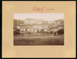 Fotografie Brück & Sohn Meissen, Ansicht Colditz, Panorama Vom Ort Mit Blick Auf Das Schloss  - Orte