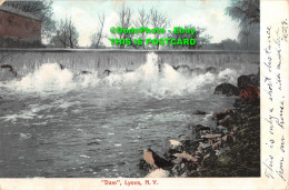 R347303 N. Y. Lyons. Dam. The Rochester News Company. 1905 - World
