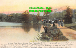 R347306 N. Y. Rochester. Seneca Park. Trout Lake. The Rotograph Co. 1907 - World