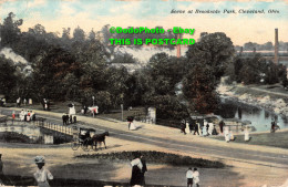 R347314 Ohio. Cleveland. Scene At Brookside Park. Braun Post Card Co. Superior Q - World